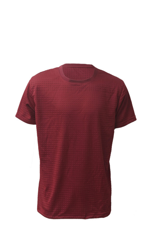 Red Round Neck Classic Regular Half Sleeve T-Shirt for Men