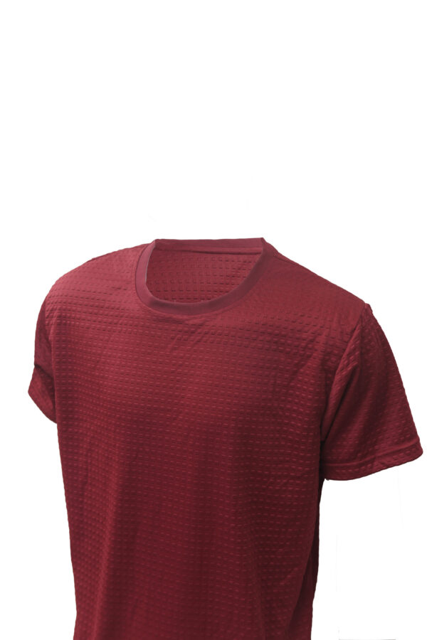 Red Round Neck Classic Regular Half Sleeve T-Shirt for Men