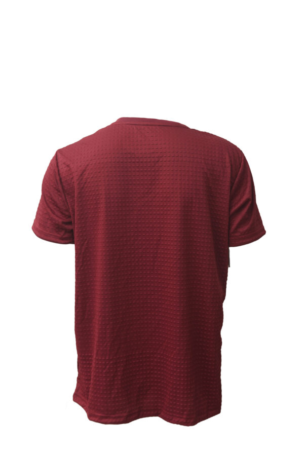Red Round Neck Classic Regular Half Sleeve T-Shirt for Men