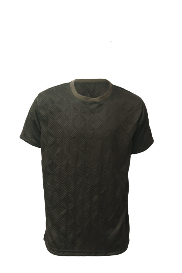 Brown Round Neck Classic Regular Half Sleeve T-Shirt for Men