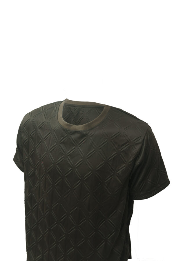 Brown Round Neck Classic Regular Half Sleeve T-Shirt for Men