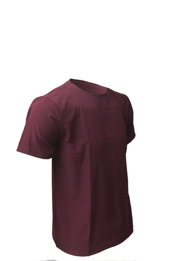 Red Round Neck Classic Regular Half Sleeve T-Shirt for Men