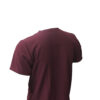 Red Round Neck Classic Regular Half Sleeve T-Shirt for Men