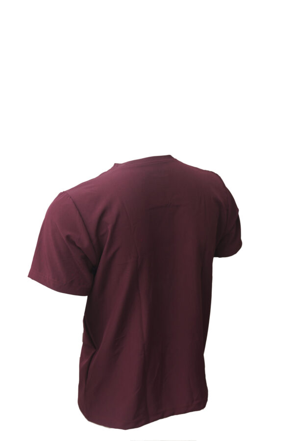 Red Round Neck Classic Regular Half Sleeve T-Shirt for Men