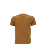 Brown Round Neck Classic Regular Half Sleeve T-Shirt for Men
