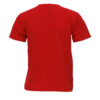 Red Round Neck Classic Regular Half Sleeve T-Shirt for Men