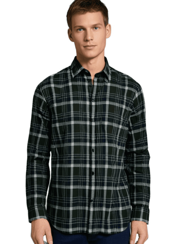 Saasha Garments Check Box Light Green Formal Shirt For Men