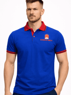 Royal Blue Classic Regular Half Sleeve T-Shirt for Men With Collar