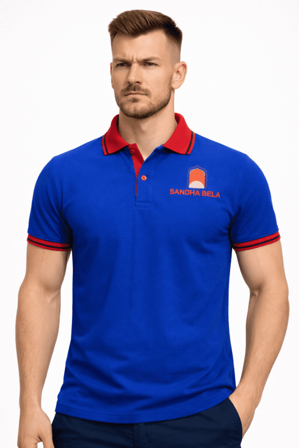 Royal Blue Classic Regular Half Sleeve T-Shirt for Men With Collar